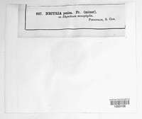 Image Associated With the Occurence